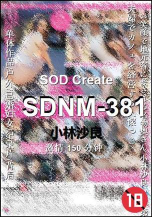 SDNM-381Ѹ