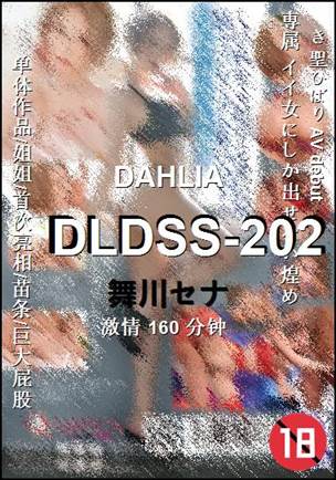 DLDSS-202BT