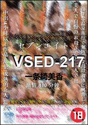 VSED-217BT