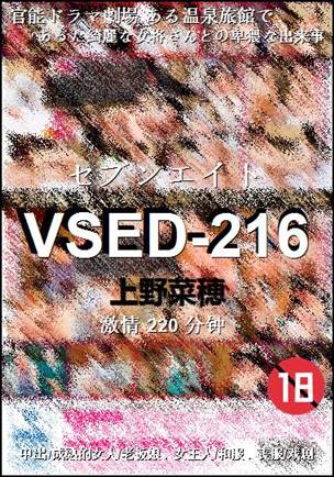 VSED-216BT