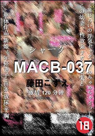 MACB-037Ѹ