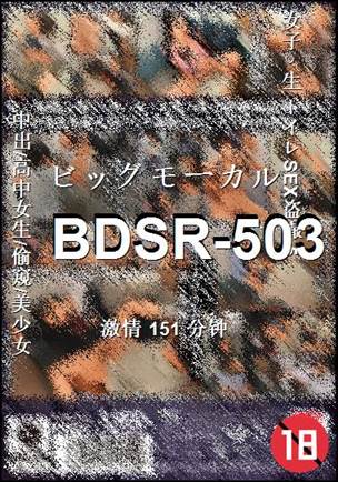 BDSR-503Ѹ