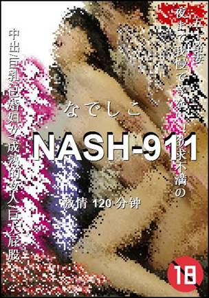 NASH-911Ѹ