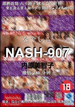 NASH-907BT