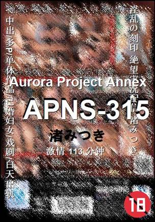 APNS-315BT