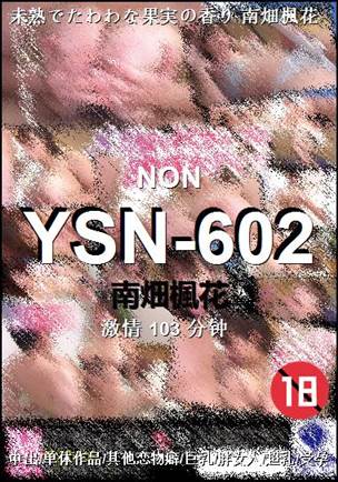 YSN-602BT