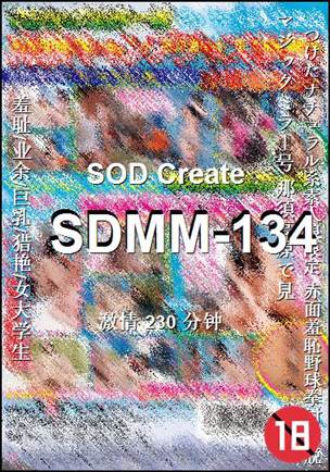 SDMM-134Ѹ