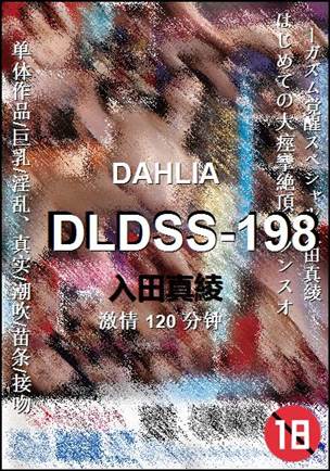 DLDSS-198Ѹ
