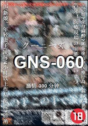 GNS-060Ѹ