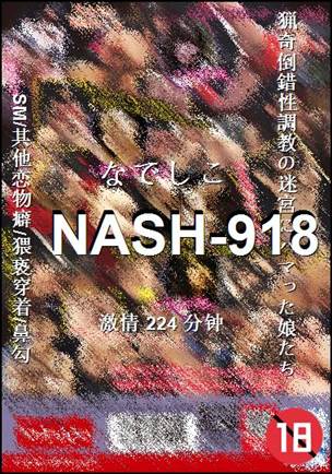 NASH-918Ѹ