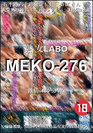 MEKO-276BT