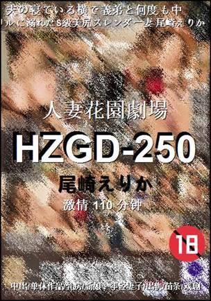 HZGD-250Ѹ