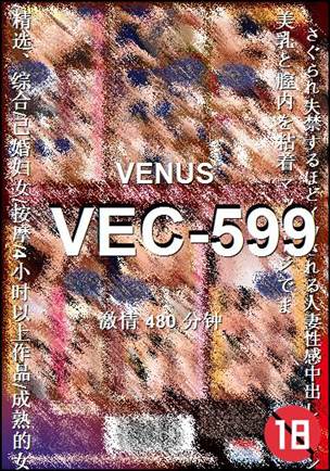 VEC-599Ѹ