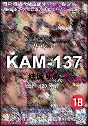 KAM-137Ѹ