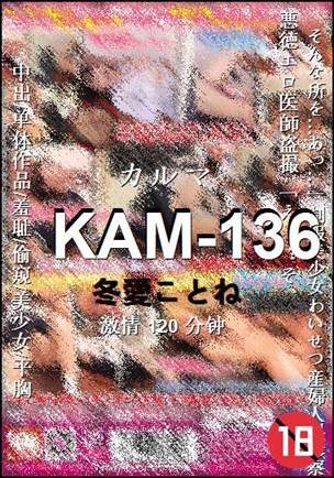 KAM-136Ѹ