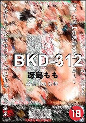 BKD-312Ѹ