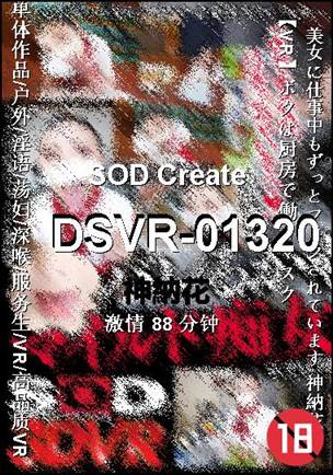 DSVR-01320BT