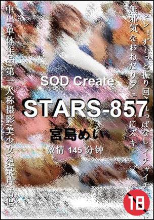 STARS-857Ѹ
