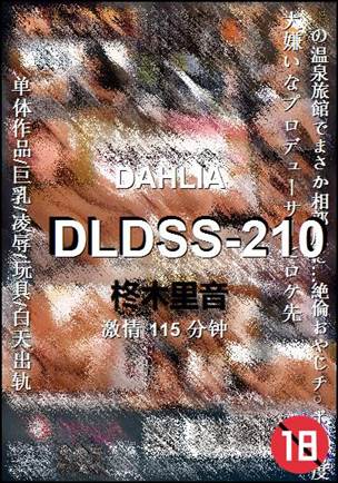 DLDSS-210Ѹ