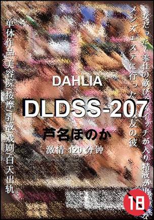 DLDSS-207BT