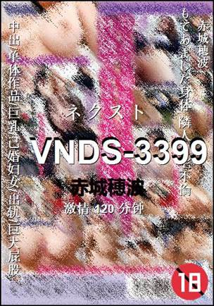 VNDS-3399Ѹ