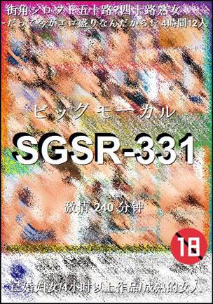 SGSR-331Ѹ