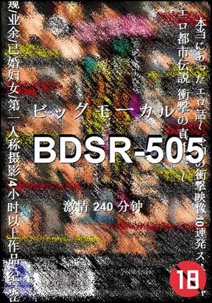 BDSR-505BT