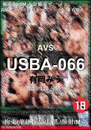USBA-066BT