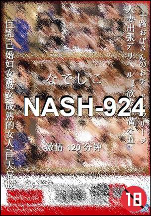 NASH-924Ѹ