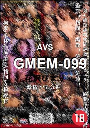 GMEM-099Ѹ
