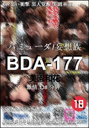 BDA-177Ѹ