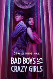 Bad Boys VS Crazy GirlsѸ
