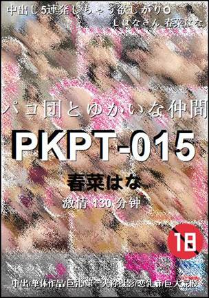 PKPT-015BT