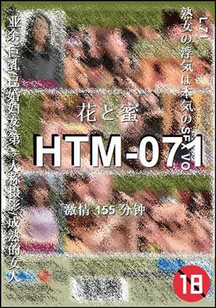 HTM-071Ѹ