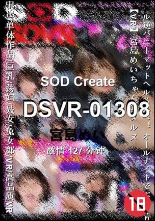 DSVR-01308Ѹ