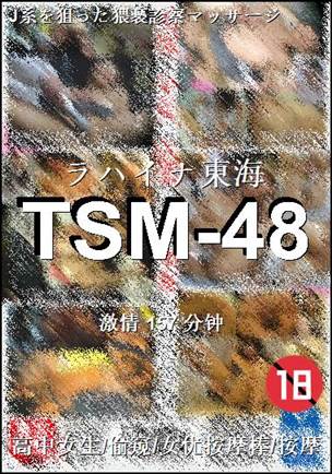 TSM-48Ѹ