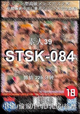 STSK-084Ѹ