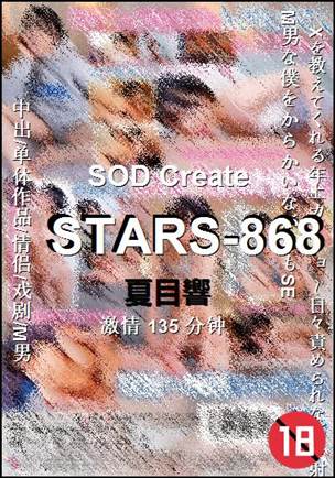 STARS-868Ѹ