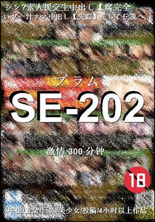 SE-202BT