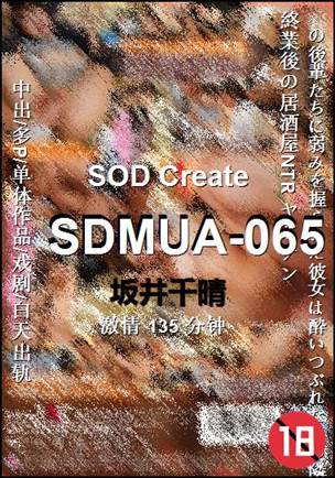 SDMUA-065BT