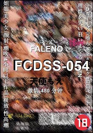 FCDSS-054BT