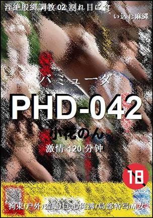 PHD-042Ѹ