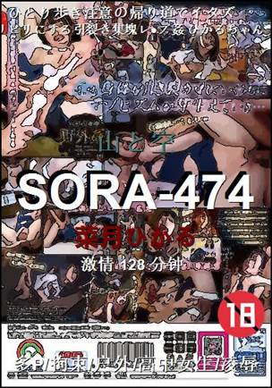 SORA-474Ѹ