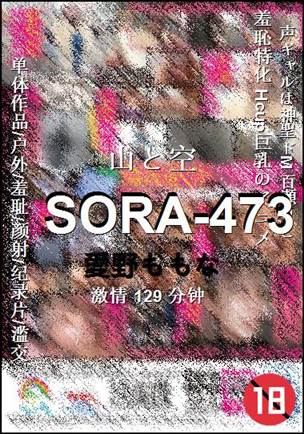 SORA-473Ѹ