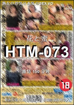 HTM-073Ѹ