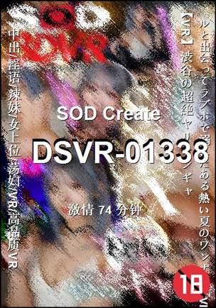 DSVR-01338BT