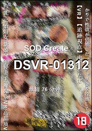 DSVR-01312Ѹ