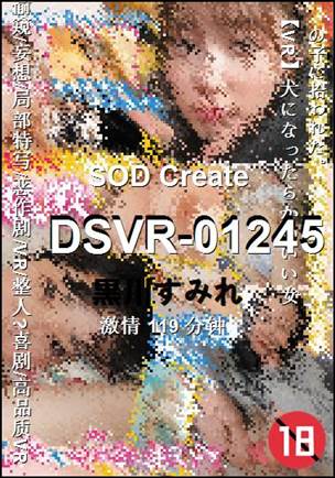 DSVR-01245Ѹ