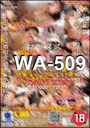 WA-509Ѹ