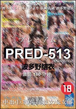 PRED-513BT